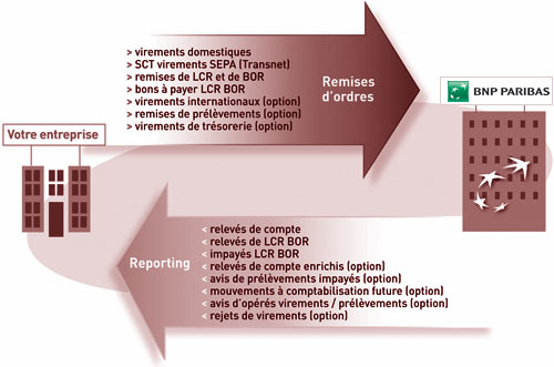 schema évolution